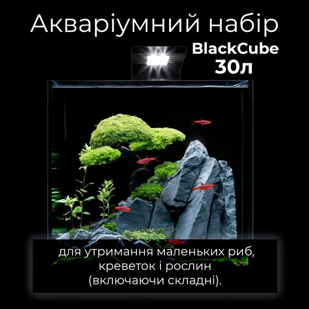 Аквариумный набор BlackCube 30 литров, с черной задней стенкой, 31х31х31 см, стекло 4 мм (7148) - изображение 7