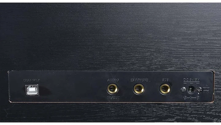 Pianino cyfrowe V-Tone BL-8808 BK - obraz 4