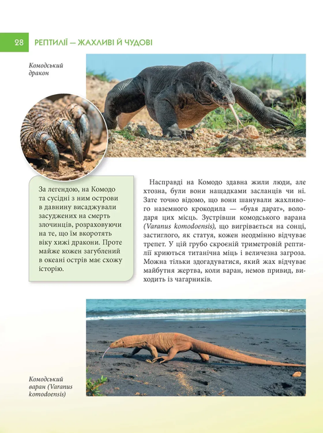 Енциклопедія для допитливих. Рептилії – жахливі й чудові/Андрій Гапченко/9789669893024 - изображение 4