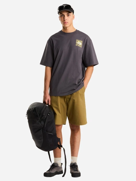 Футболка бавовняна довга чоловіча The North Face M Sun NF0A8GA0RHI1 L Сіра (800070354845) - зображення 3