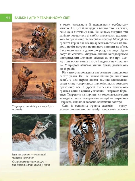 Книга «Енциклопедія для допитливих А5. Батьки і діти у тваринному світі». Автор - Андрій Гапченко - Фото 4 Книга «Енциклопедія для допитливих А5. Батьки і діти у тваринному світі». Автор - Андрій Гапченко - изображение 4