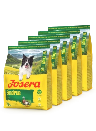 Сухий корм Josera SensiPlus М’яке живлення для чутливих собак 0,9 кг*5 (4,5 кг) (85965) - Фото 1 Сухий корм Josera SensiPlus М’яке живлення для чутливих собак 0,9 кг*5 (4,5 кг) (85965) - зображення 1