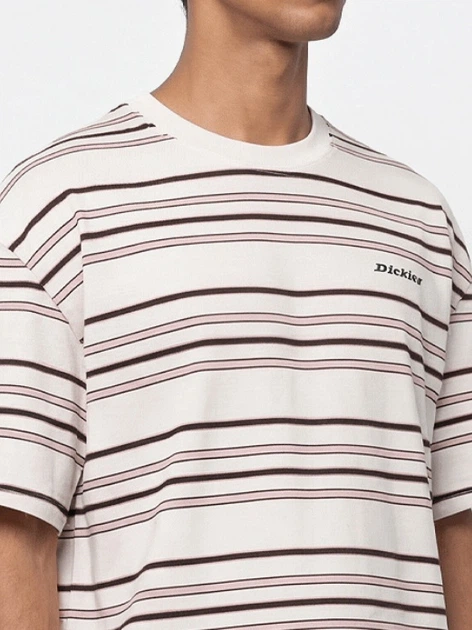 Футболка бавовняна довга чоловіча Dickies East Liberty Stripe Ss DK0A88GFC481 L Бежева (800070354594) - зображення 4
