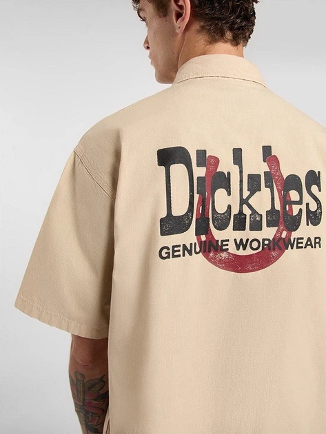 Koszula bawełniana męska Dickies Vernal DK0A88O8L171 M Beżowa (800070354643) - obraz 5