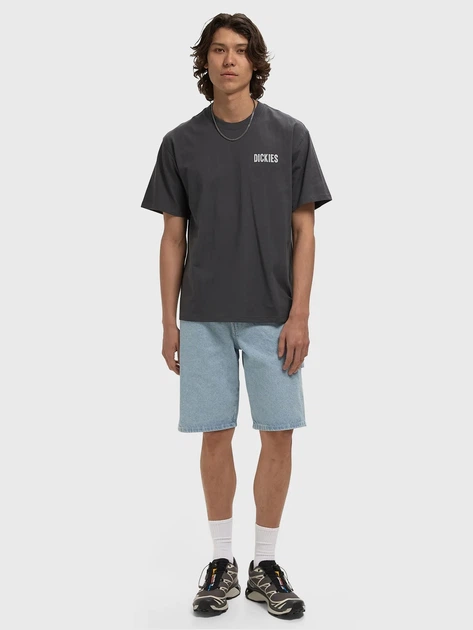 Футболка бавовняна довга чоловіча Dickies Wolfhurst Ss DK0A88QOCH01 M Темно-сіра (800070354671) - зображення 3