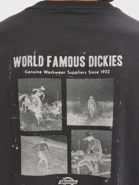 Футболка бавовняна довга чоловіча Dickies Wolfhurst Ss DK0A88QOCH01 M Темно-сіра (800070354671) - зображення 6