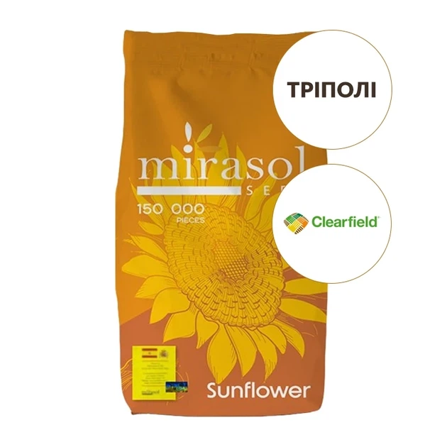 Тріполі 2024 рік Mirasol Seed (.) - Фото 1 Тріполі 2024 рік Mirasol Seed (.) - зображення 1