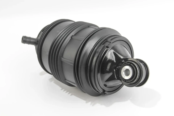 Подушка пневмопідвіски (ззаду) MB E-class (W211) 03- Л. GOODREM RA0148 Mercedes E-Class, 2113200725 - зображення 2