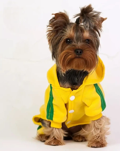 Спортивний костюм Adidog жовтого кольору розмір М - Фото 4 Спортивний костюм Adidog жовтого кольору розмір М - изображение 4