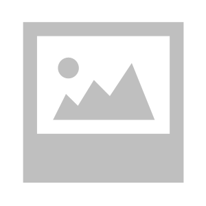 Флеш память/флеш накопитель USB 16GB T&G Type-C 009 Star серебро - Фото 1 Флеш память/флеш накопитель USB 16GB T&G Type-C 009 Star серебро - изображение 1