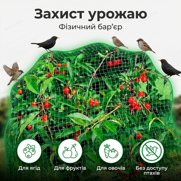 Сетка против птиц 3х10м для сада огорода ячейка 20х20мм антиптичная защита урожая полиэтилен UV устойчивая - изображение 6