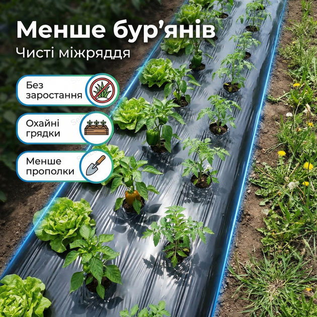 Пленка мульча Shadow 1,2х1000м 30мкм для мульчирования почвы овощей с перфорацией УФ стабилизация черная - изображение 6
