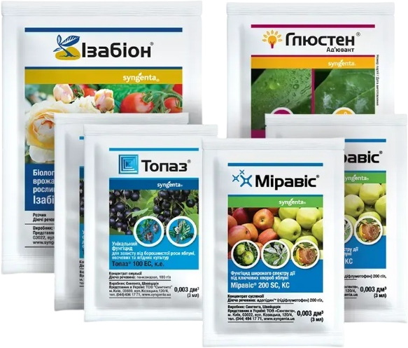 Комплекс от мучнистой росы роз Syngenta (Миравис 2 шт, Изабион 1 шт, Топаз 2 шт, Глюстен 1 шт) (4820294501313) - Фото 1 Комплекс от мучнистой росы роз Syngenta (Миравис 2 шт, Изабион 1 шт, Топаз 2 шт, Глюстен 1 шт) (4820294501313) - изображение 1