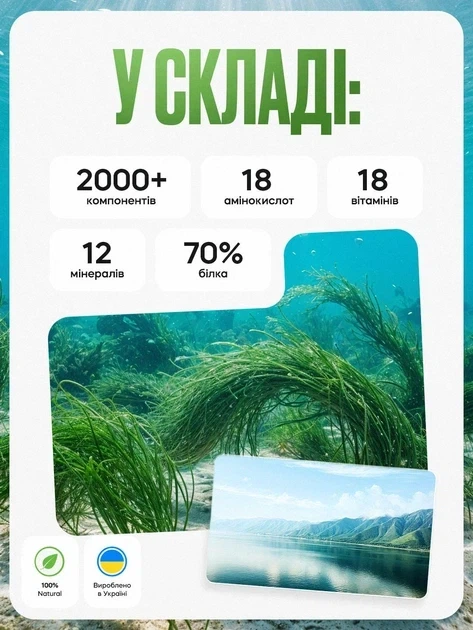 Спирулина из озера Ченхай суперфуд водоросли для похудения таблетки от лишнего веса для энергии TOP Spirulina 500 г в таблетках (1416) - Фото 5 Спирулина из озера Ченхай суперфуд водоросли для похудения таблетки от лишнего веса для энергии TOP Spirulina 500 г в таблетках (1416) - изображение 5