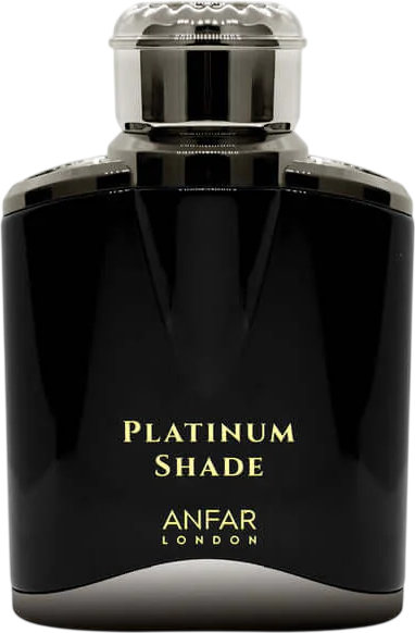 Woda perfumowana męska Anfar London Platinum Shade 100 ml (6292257588699) - obraz 2