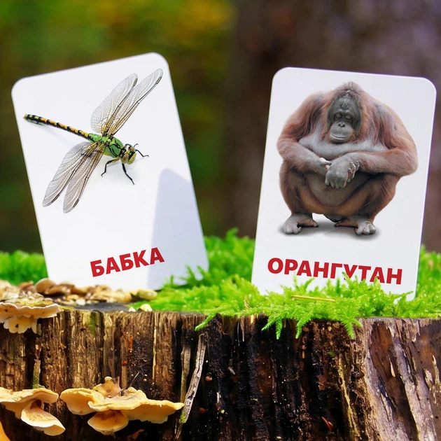 Подарунковий набір карток Домана ‘‘Світ тварин’’’, від 1 до 5 років, українською мовою, у наборі 152 картки - зображення 2