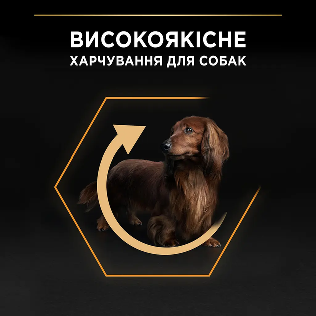 Сухий корм для собак Purina Pro Plan Adult Small & Mini з куркою та рисом 7 кг 12376022 - зображення 5