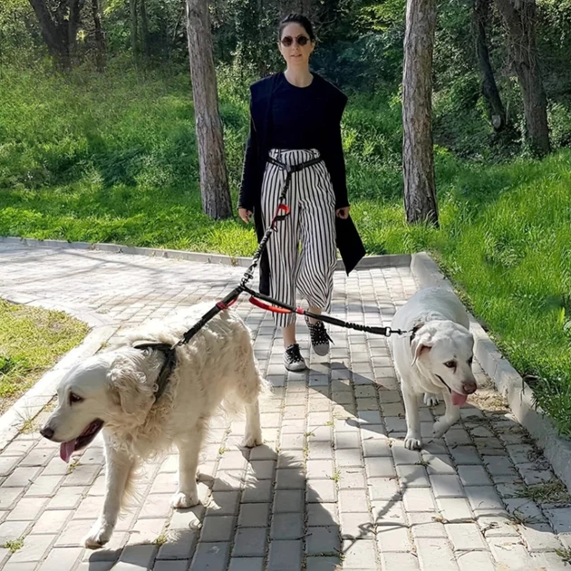 Повідець для двох собак світловідбивний з амортизатором, м’якими ручками та обертанням 360°, сірий - Фото 8 Повідець для двох собак світловідбивний з амортизатором, м’якими ручками та обертанням 360°, сірий - зображення 8