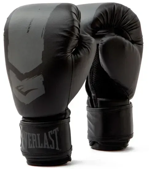 Боксерські рукавиці Everlast PROSPECT 2 BOXING GLOVE 6 унцій, чорно-сірі - Фото 1 Боксерські рукавиці Everlast PROSPECT 2 BOXING GLOVE 6 унцій, чорно-сірі - изображение 1