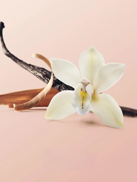 Cпрей для тела Vanilla Orchid SandalwoodVictoria's Secret 236мл - изображение 2