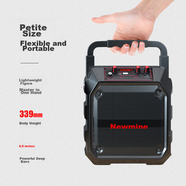 Колонка Newmine K97 Bluetooth потужна, для вулиці, з мікрофоном, караоке - зображення 7