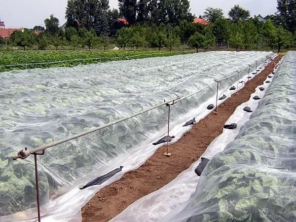 Агроволокно Growtex 30 г/м2 2.1х100 м От заморозков Белое - изображение 2