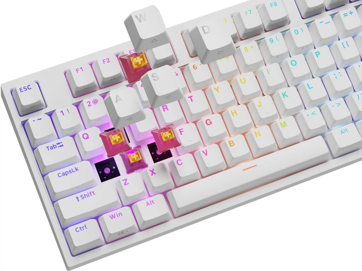 Клавіатура дротова Genesis Thor 404 Outemu Peach Silent White (NKG-2300) - зображення 5