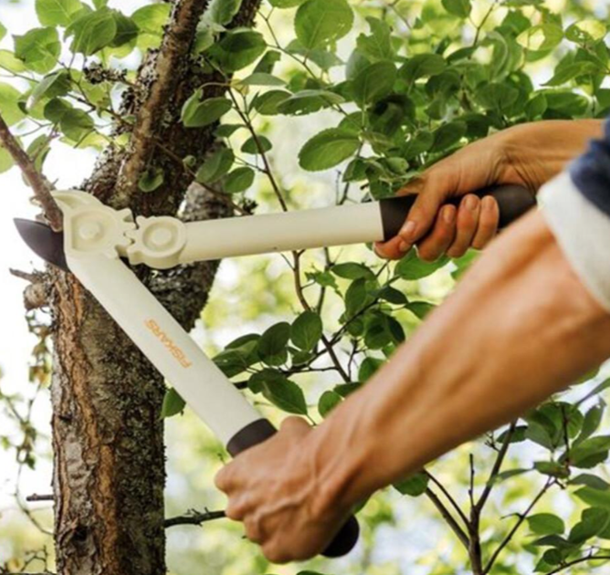 Сучкоріз площинний FISKARS White L32 - зображення 3