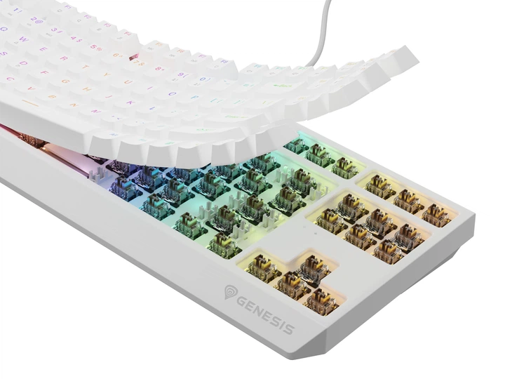 Klawiatura przewodowa Genesis Thor 230 TKL Outemu Brown White (NKG-2080) - obraz 8