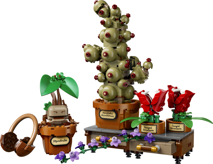 Zestaw klocków LEGO Harry Potter Rośliny z lekcji zielarstwa w Hogwarcie 817 elementów (76474) - Zdjęcie 2 Zestaw klocków LEGO Harry Potter Rośliny z lekcji zielarstwa w Hogwarcie 817 elementów (76474) - obraz 2