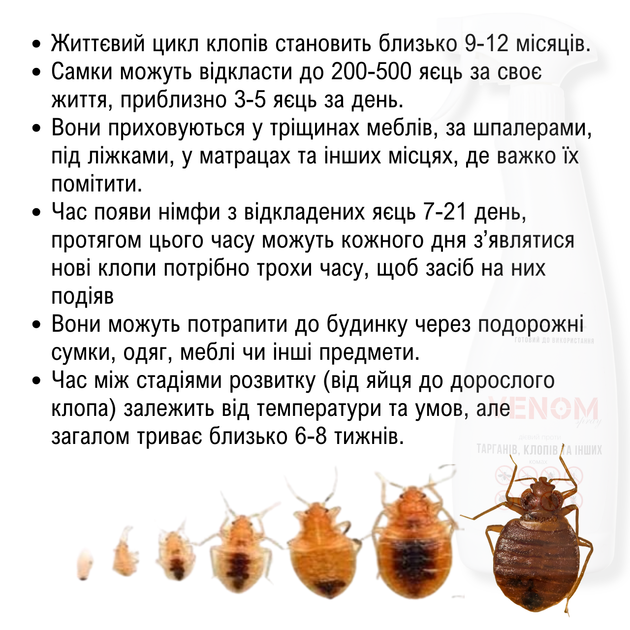 Venom Spray від клопів, тарганів та інших комах. Засіб готовий до використання! - зображення 7