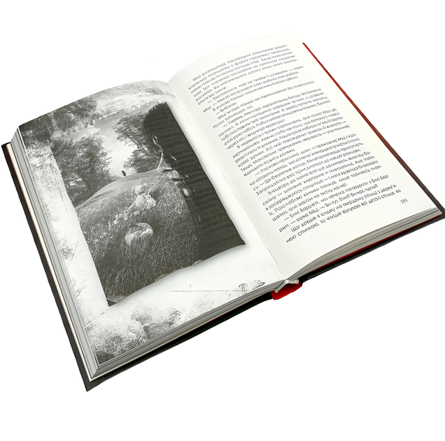 Книга : Сховані малюнки. Джейсон Рекулак - зображення 3