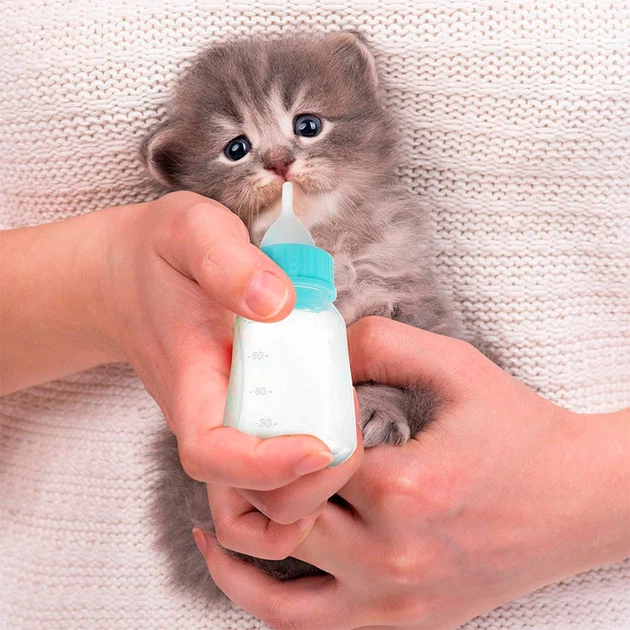 Бутылка для кормления молоком котят и щенков Taotaopets 126606 Blue с соской щетки для мытья - Фото 2 Бутылка для кормления молоком котят и щенков Taotaopets 126606 Blue с соской щетки для мытья - изображение 2