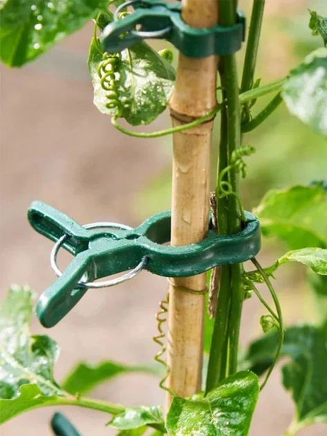 Клипсы для подвязки растений Parkside XL Plant Clips,16 шт - Фото 2 Клипсы для подвязки растений Parkside XL Plant Clips,16 шт - изображение 2
