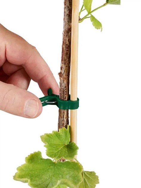 Клипсы для подвязки растений Parkside XL Plant Clips,16 шт - Фото 3 Клипсы для подвязки растений Parkside XL Plant Clips,16 шт - изображение 3