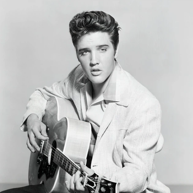 Інтер'єрна картина Елвіс Преслі з акустичною гітарою, Elvis Presley, король рок-н-ролу, 40×30 см (id1746) - зображення 4