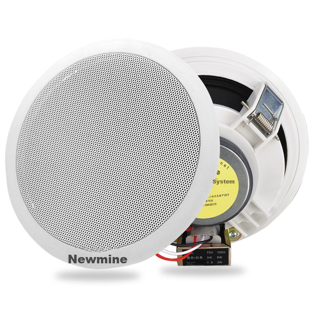 Комплект Newmine R16 стельових акустичних систем з постійною напругою - зображення 5