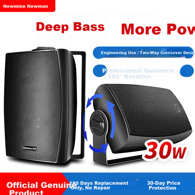 Колонка настенная Newmine ND-9 30Вт 5", для магазинов/дома - изображение 4