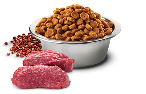 Сухой беззерновой корм Farmina (Фармина) Dog N&D Quinoa Grain Free Venison & Coconut Skin & Coat Adult Medium & Maxi для взрослых собак средних и больших пород для здоровья кожи и шерсти с мясом оленины, кокосом и куркумой 2.5 кг (арт 189137) - изображение 2