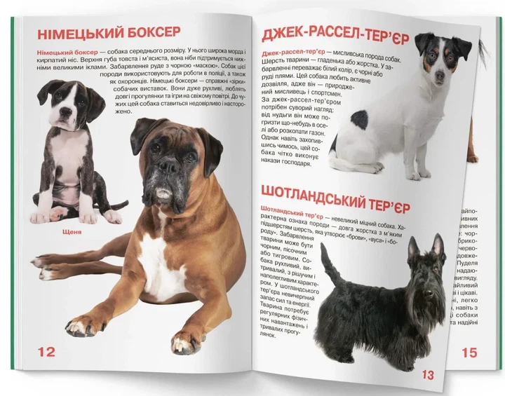Книга «Велика книжка. Собаки». Автор - Олег Зав'язкин - изображение 5