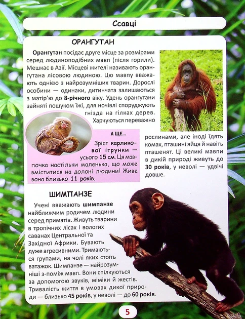 Книга «Світ навколо нас. Хто скільки живе?». Автор - Дмитро Турбаніст - Фото 4 Книга «Світ навколо нас. Хто скільки живе?». Автор - Дмитро Турбаніст - зображення 4