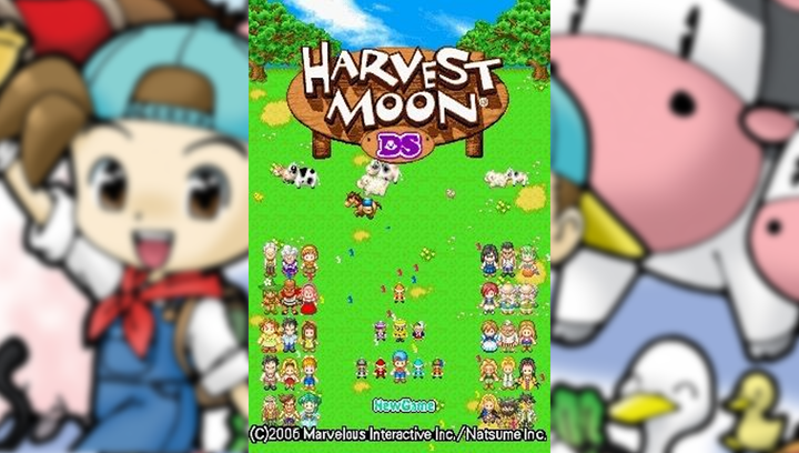 Гра Nintendo DS Harvest Moon Europe Англійська Версія Б/У - зображення 2