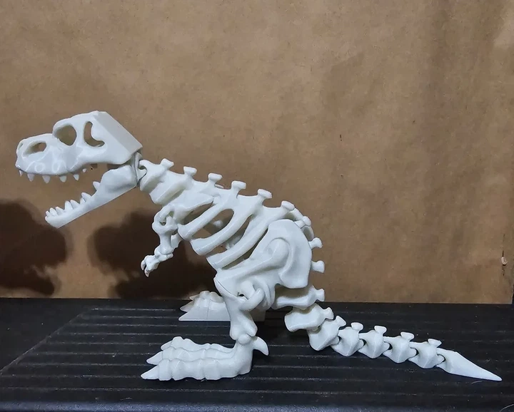 Подвижный скелет Тираннозавра – Tyrannosaurus Rex 20х10х10 см белый - изображение 4
