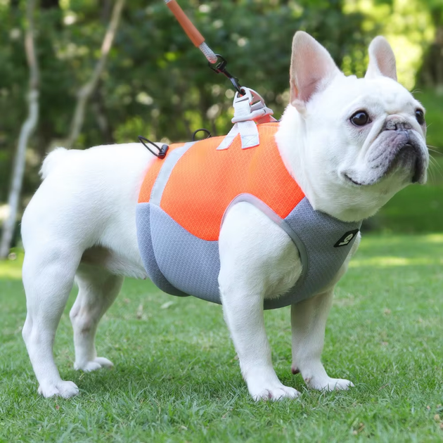 Летний охлаждающий жилет для собак Derby Summer Dog Cooling Vest PA0116-4, Orange, XL - изображение 2