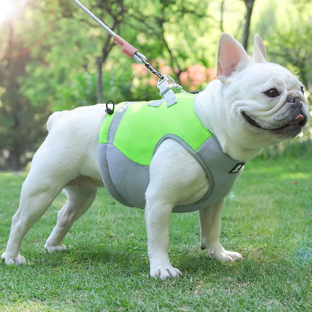 Летний охлаждающий жилет для собак Derby Summer Dog Cooling Vest PA0116-4, Green, M - изображение 2