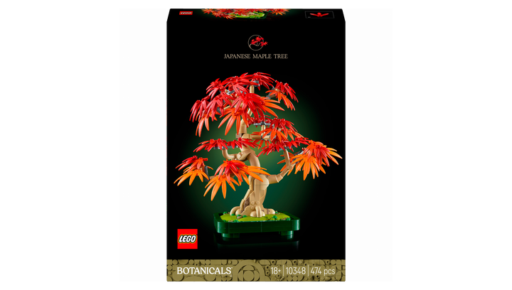 Конструктор Lego Бонсай из Японского Красного Клена Botanicals 10348 - изображение 2