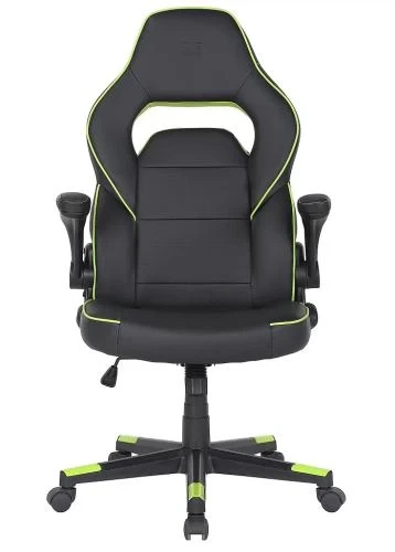 Игровое кресло 2E GAMING HEBI, Black/Green, ПУ кожа (2E-GC-HEB-BK) - Фото 1 Игровое кресло 2E GAMING HEBI, Black/Green, ПУ кожа (2E-GC-HEB-BK) - изображение 1