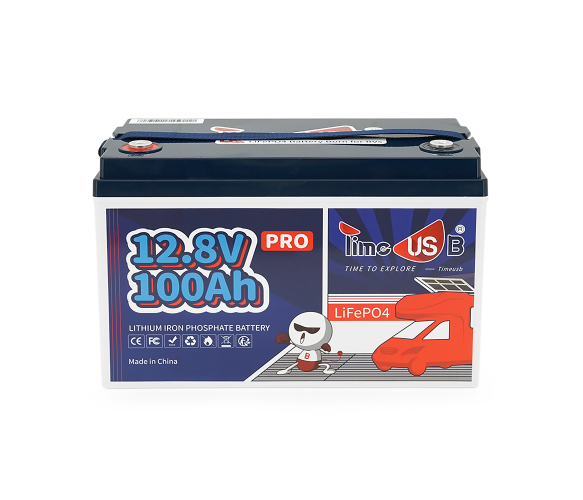 Аккумулятор LiFePO4 12.8V 100Ah 1280Wh BMS 100A Timeusb Pro (38288) - изображение 2