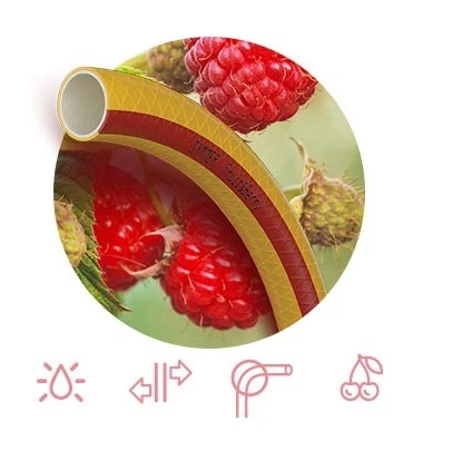 Шланг FRUIT+BERRY Ø1×2 30 м - изображение 2