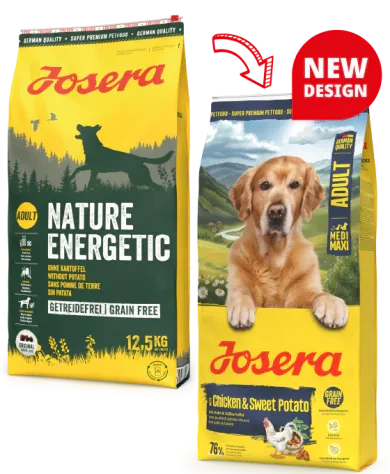 Сухий корм Josera Chicken & Sweet Potato Adult (Nature Energetic) З м’ясом птиці та бататом (беззерновий) 0,9 кг (86375) - зображення 2